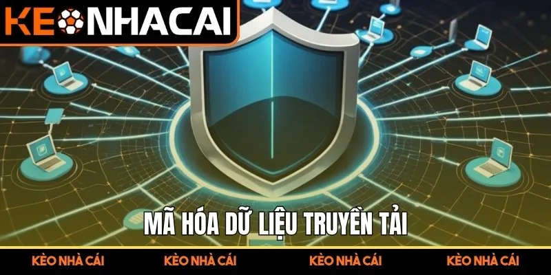 Chính Sách Bảo Mật Kèo Nhà Cái - Hệ Thống Bảo Vệ Dữ Liệu 2 Mã hóa dữ liệu truyền tải