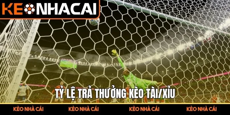 Kèo Bàn Thắng Là Gì? Chia Sẻ Mẹo cược Cược Cho Người Mới 3 Tỷ lệ trả thưởng kèo Tài/Xỉu