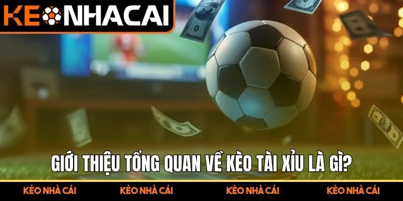 Kèo Tài Xỉu Là Gì Phân Tích Phương Pháp Đánh Giá Nhịp Trận 1 Giới thiệu tổng quan về kèo tài xỉu là gì?