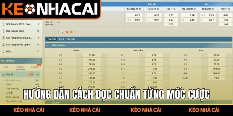Kèo Tài Xỉu Là Gì Phân Tích Phương Pháp Đánh Giá Nhịp Trận 2 Hướng dẫn cách đọc chuẩn từng mốc cược