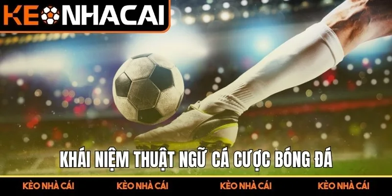Thuật Ngữ Cá Cược Bóng Đá Hệ Thống Hóa Kiến Thức Đọc Kèo 1 Khái niệm thuật ngữ cá cược bóng đá cho tân thủ