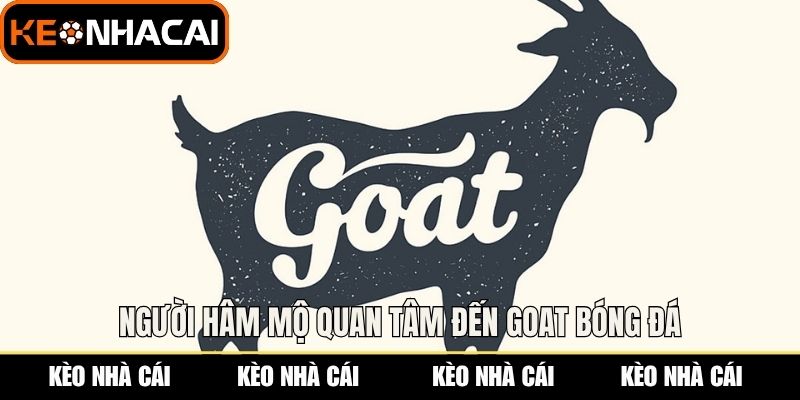 Goat Bóng Đá - Tiêu Chí Và Những Huyền Thoại Vĩ Đại 1 Người hâm mộ quan tâm đến GOAT bóng đá